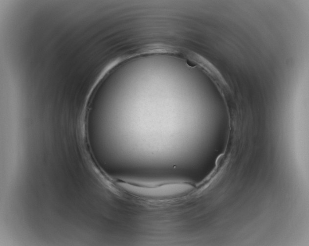 X0000115261236200911061232