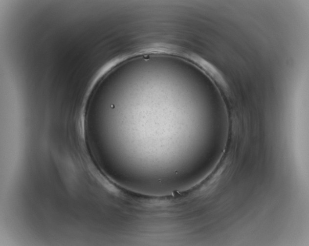 X0000115261238200911061232