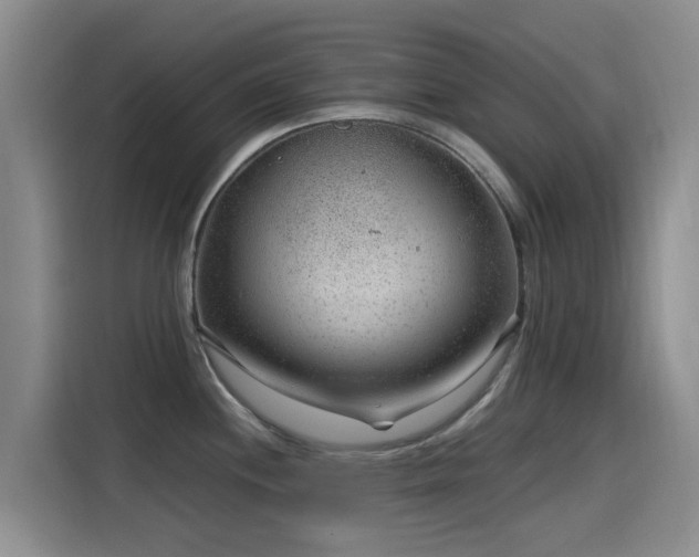 X0000115261244200911061232