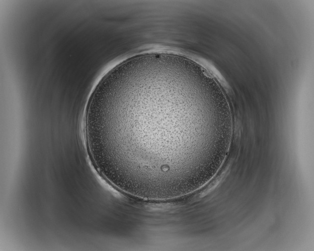 X0000115261247200911061232