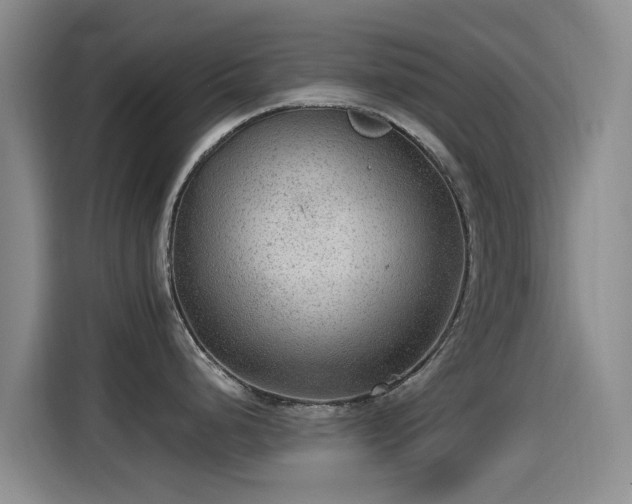 X0000115261248200911061232