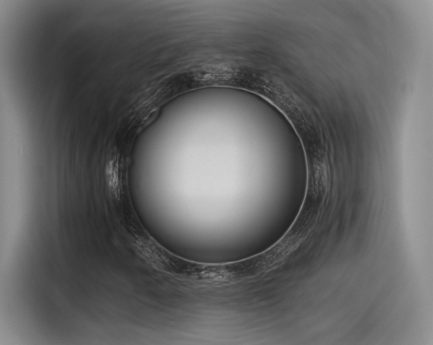 X0000115261250200911061232