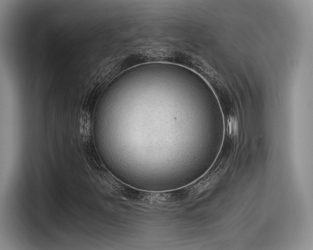X0000115261251200911061232