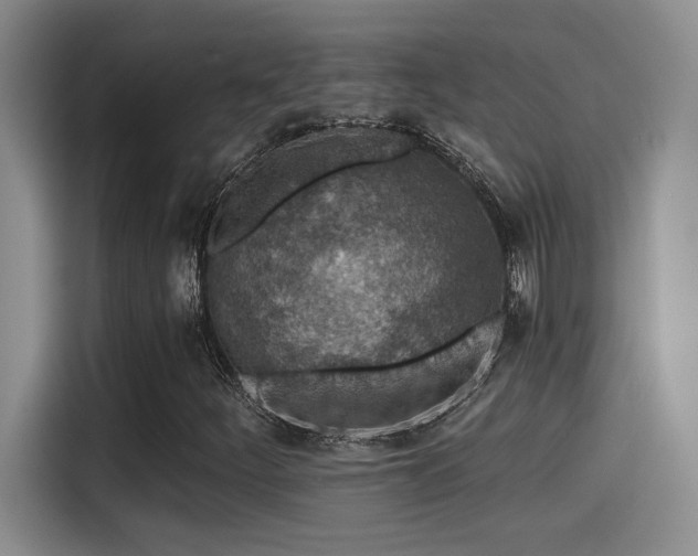 X0000115261252200911061232