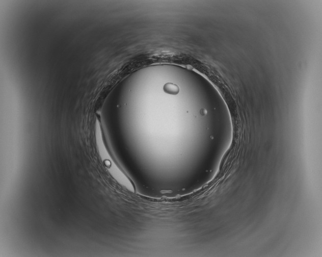 X0000115261253200911061232