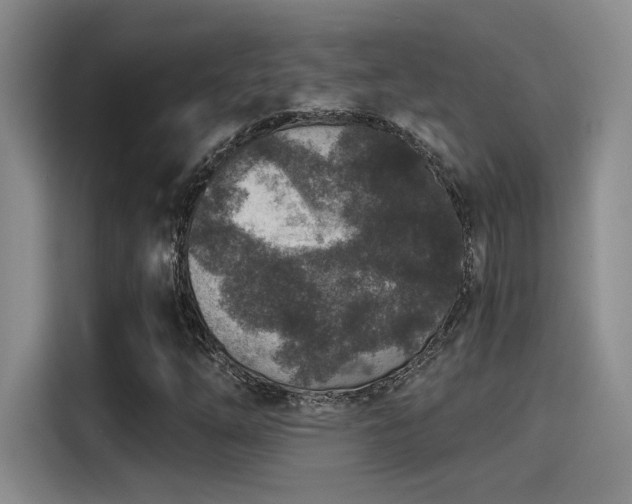 X0000115261254200911061232