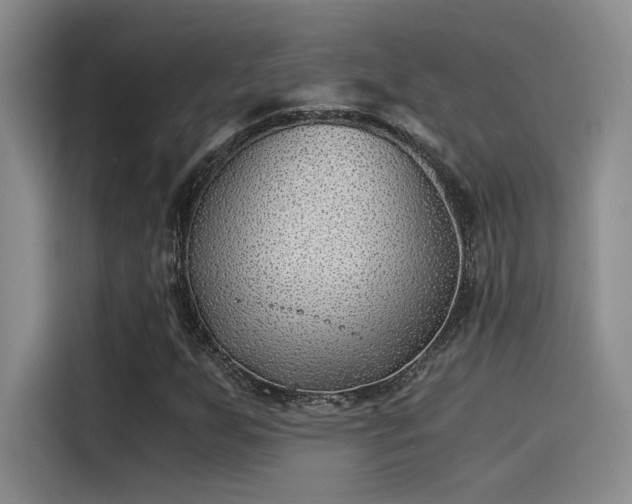 X0000115261255200911061232