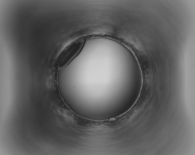 X0000115261256200911061232