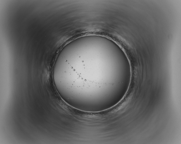 X0000115261257200911061232