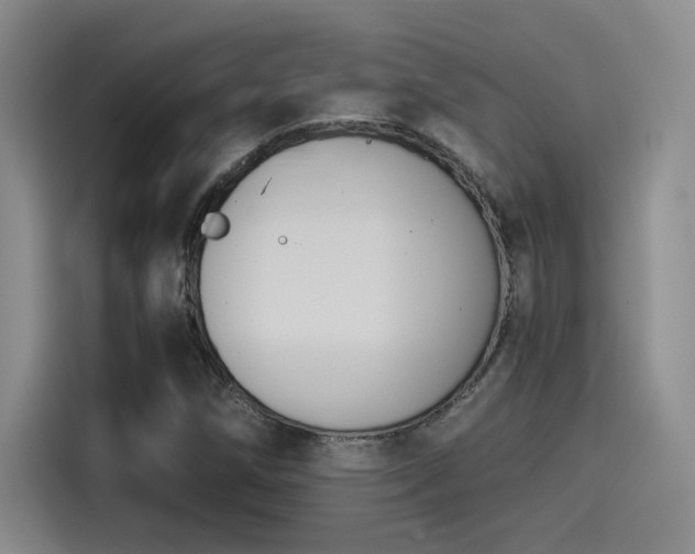 X0000115261258200911061232