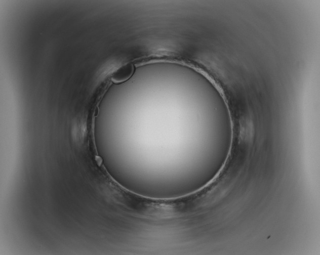 X0000115261261200911061232
