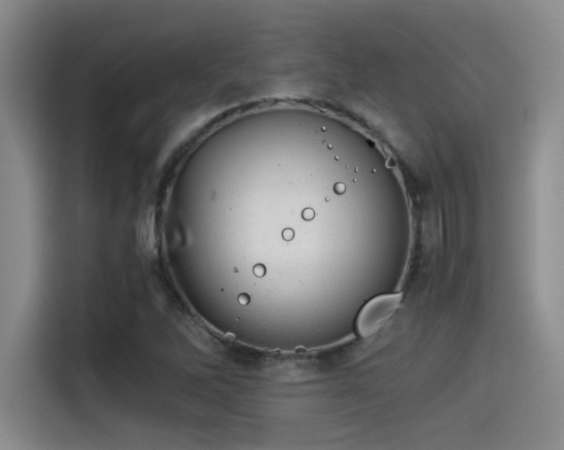 X0000115261262200911061232