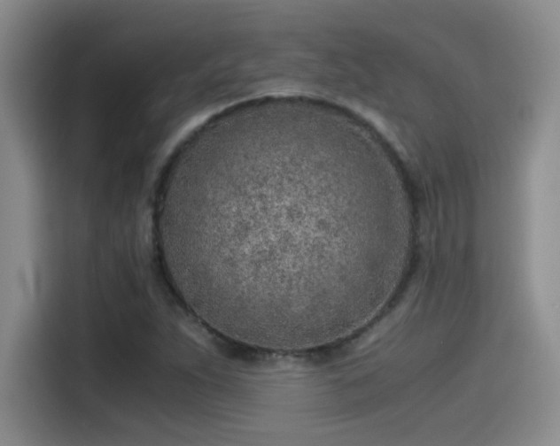 X0000115261263200911061232