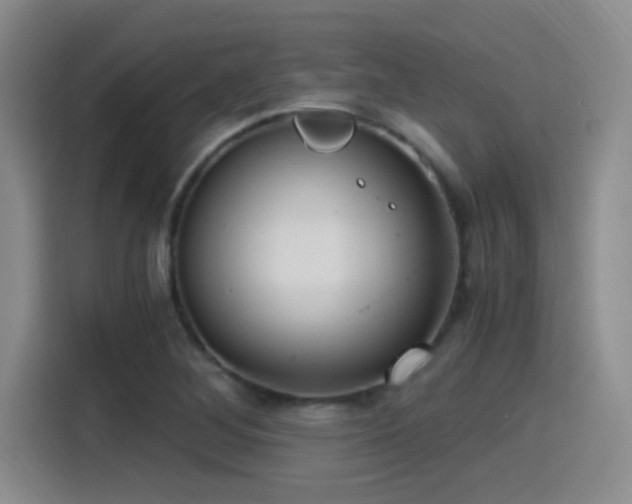 X0000115261268200911061232