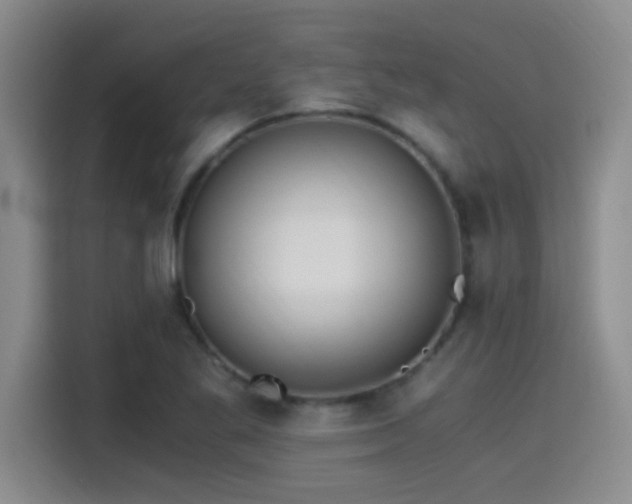 X0000115261269200911061232