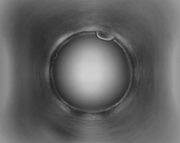 X0000115261270200911061232