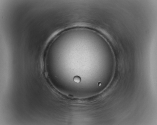 X0000115261271200911061231
