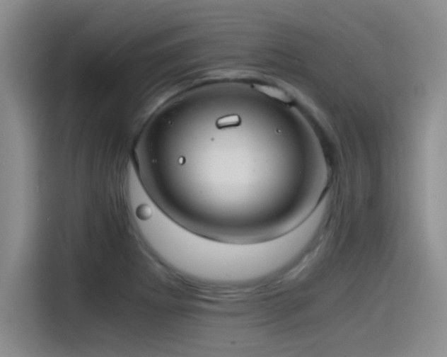 X0000115261273200911061231