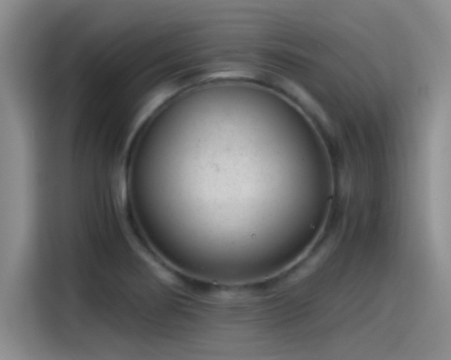 X0000115261274200911061231