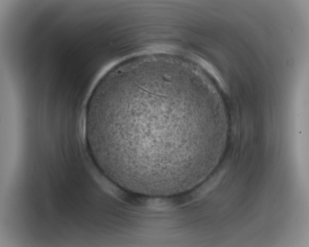 X0000115261275200911061231