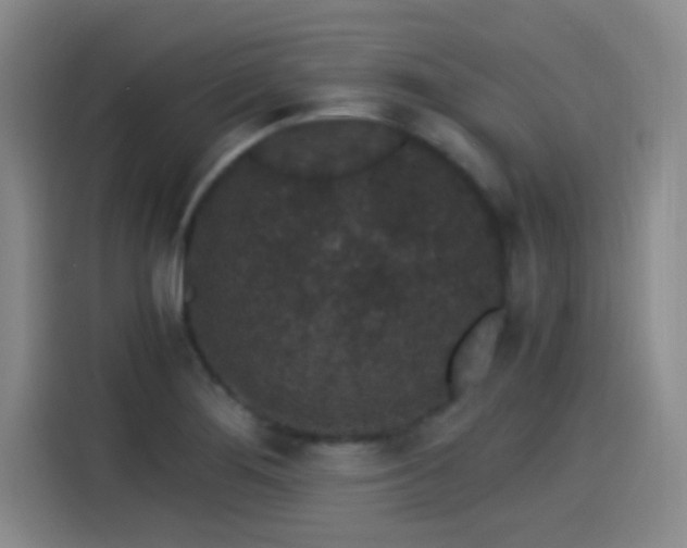 X0000115261276200911061231
