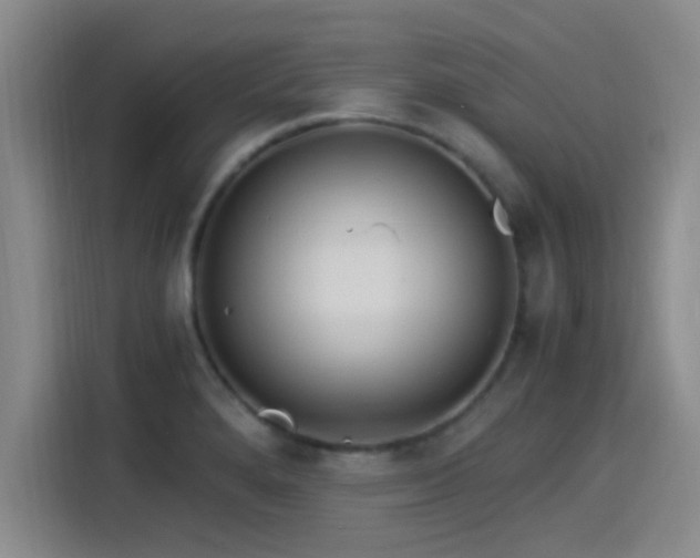 X0000115261280200911061231