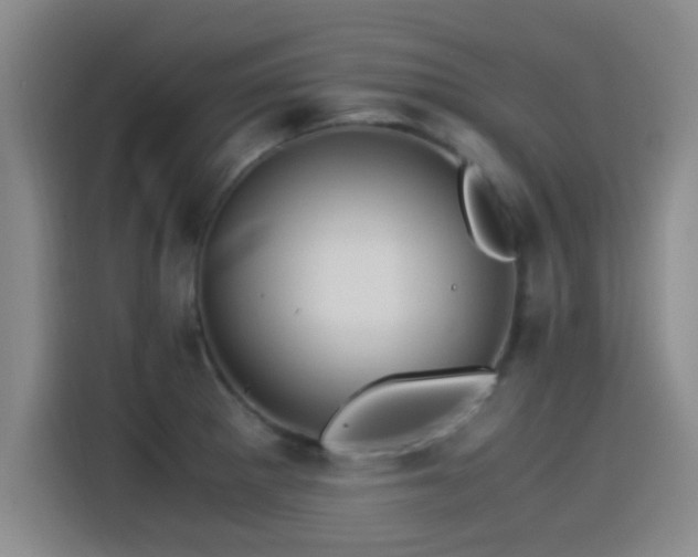 X0000115261281200911061231