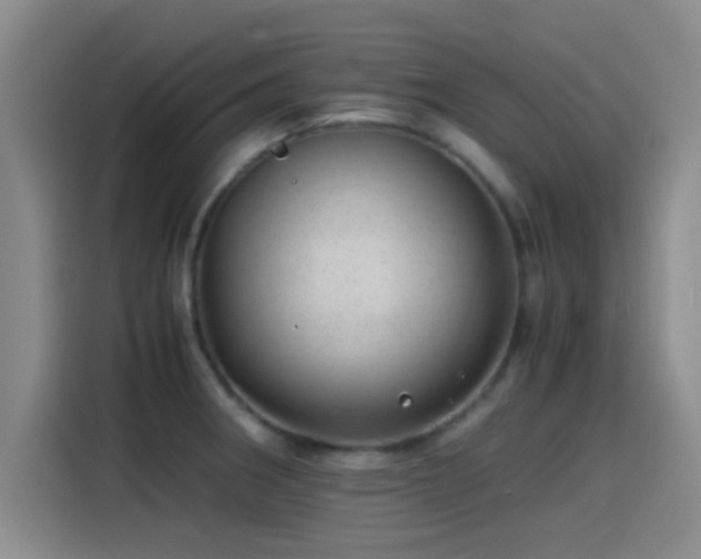 X0000115261282200911061231
