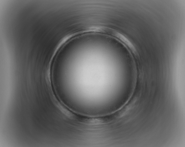 X0000115261283200911061231
