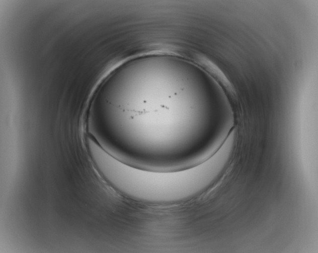 X0000115261284200911061231