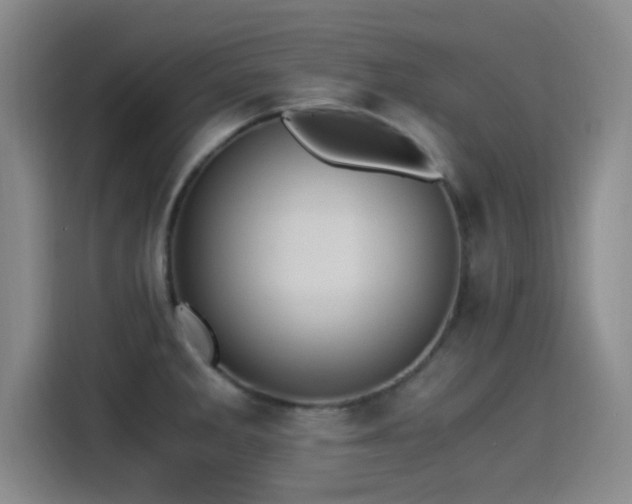 X0000115261285200911061231