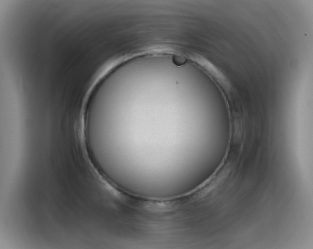 X0000115261286200911061231