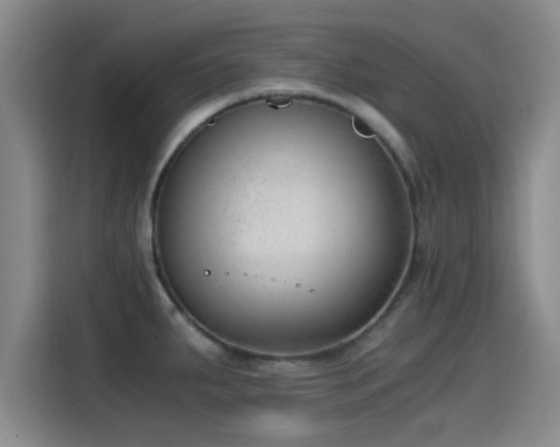 X0000115261287200911061231