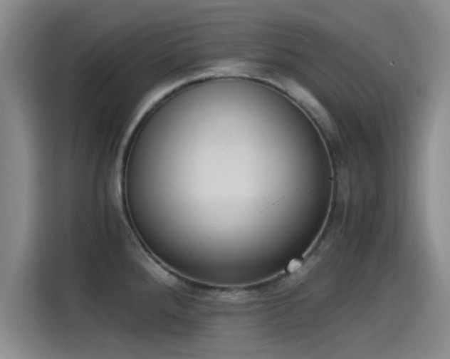 X0000115261288200911061231