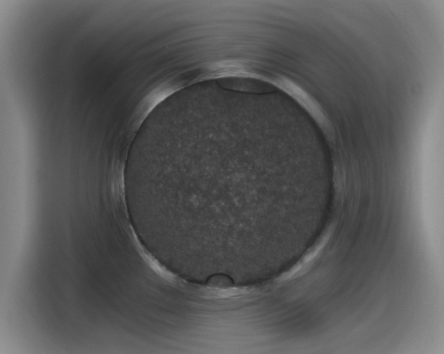 X0000115261289200911061231