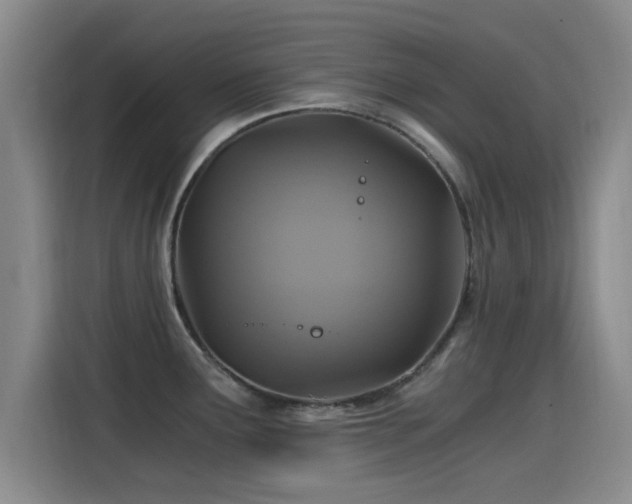 X0000115261291200911061231