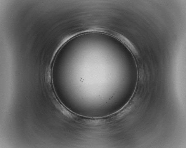 X0000115261292200911061231