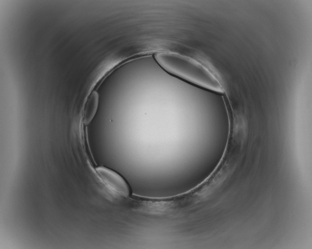 X0000115261293200911061231