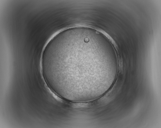 X0000115261294200911061231