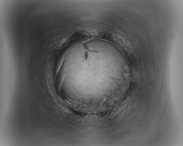 X0000115261297200911061231