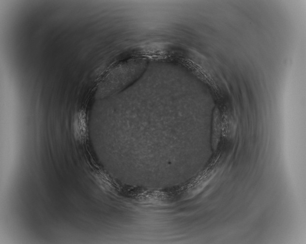 X0000115261298200911061231