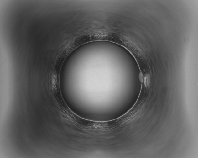 X0000115261299200911061231