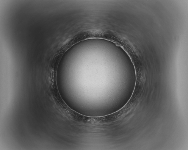X0000115261301200911061231