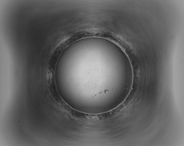 X0000115261302200911061231