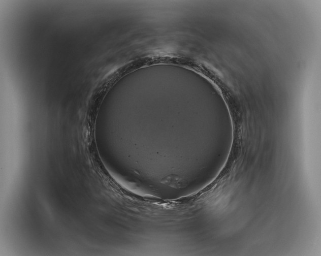 X0000115261303200911061231