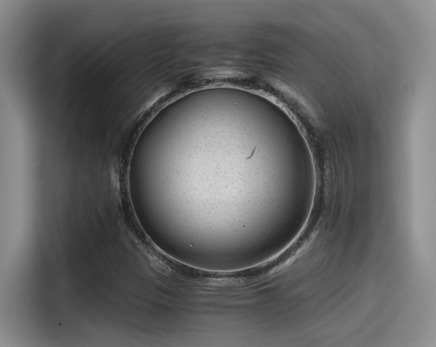 X0000115261305200911061231
