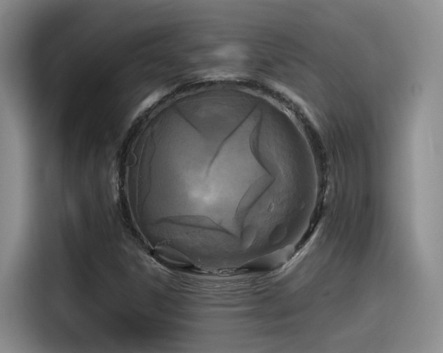 X0000115261306200911061231