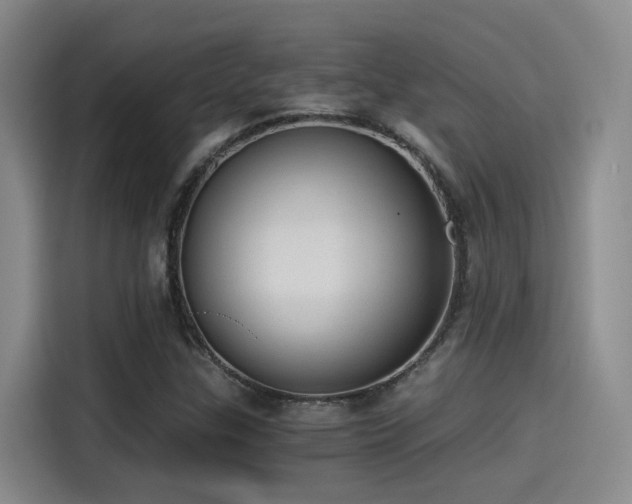 X0000115261307200911061231