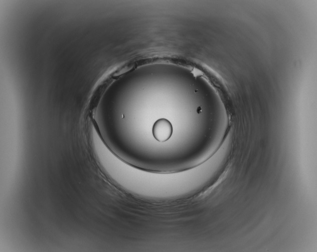 X0000115261309200911061231