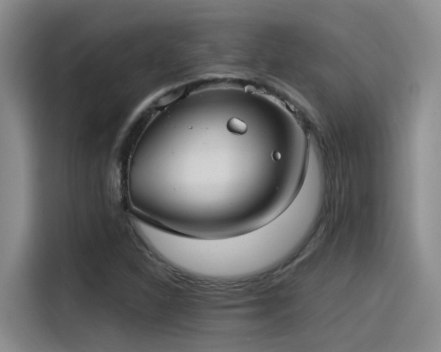 X0000115261310200911061231